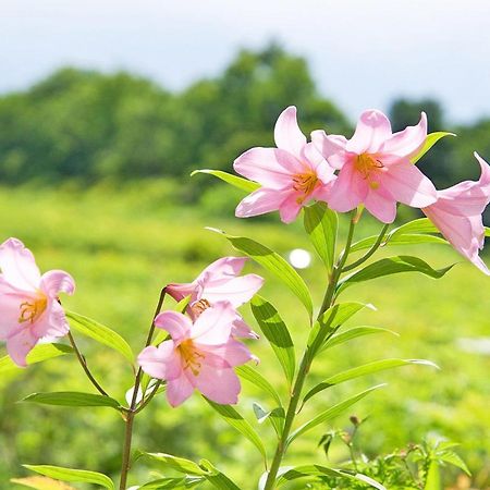 ペンション　リスの小屋 白馬村 エクステリア 写真