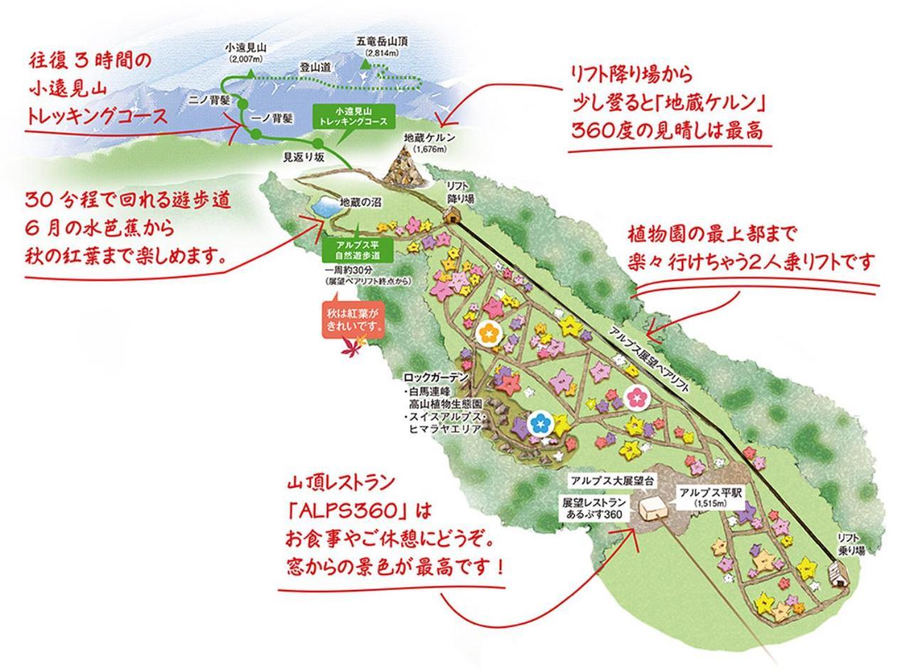 ペンション　リスの小屋 白馬村 エクステリア 写真